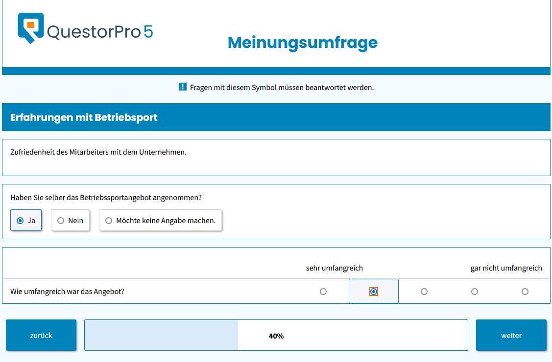 Bildschirmfoto eines Online-Fragebogens mit individuellem Design