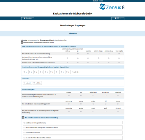Beispiel eines Online-Fragebogens in Zensus Bildschirmfoto vom Online-Fragebogen in Zensus