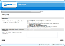 Online befragen